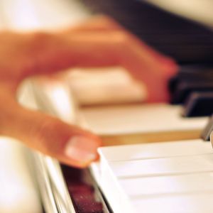 蘑菇TV官网进入
