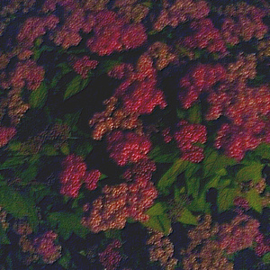 蘑菇TV官网进入
