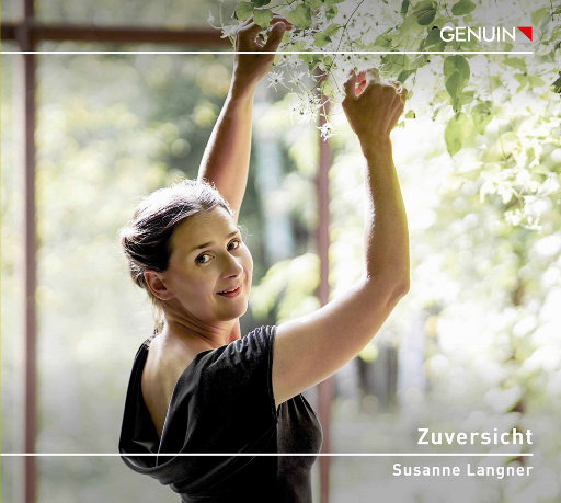 蘑菇TV官网进入
